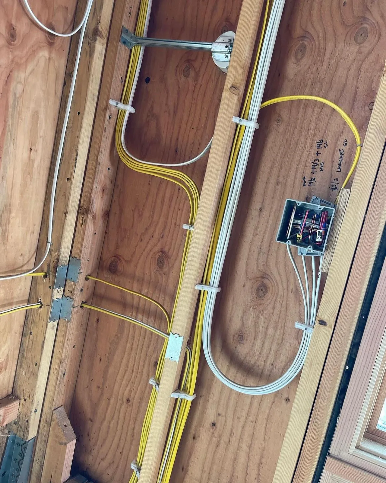 Labeled junction box with neat wiring over plywood. Meticulous install by Martinez Electric Corp