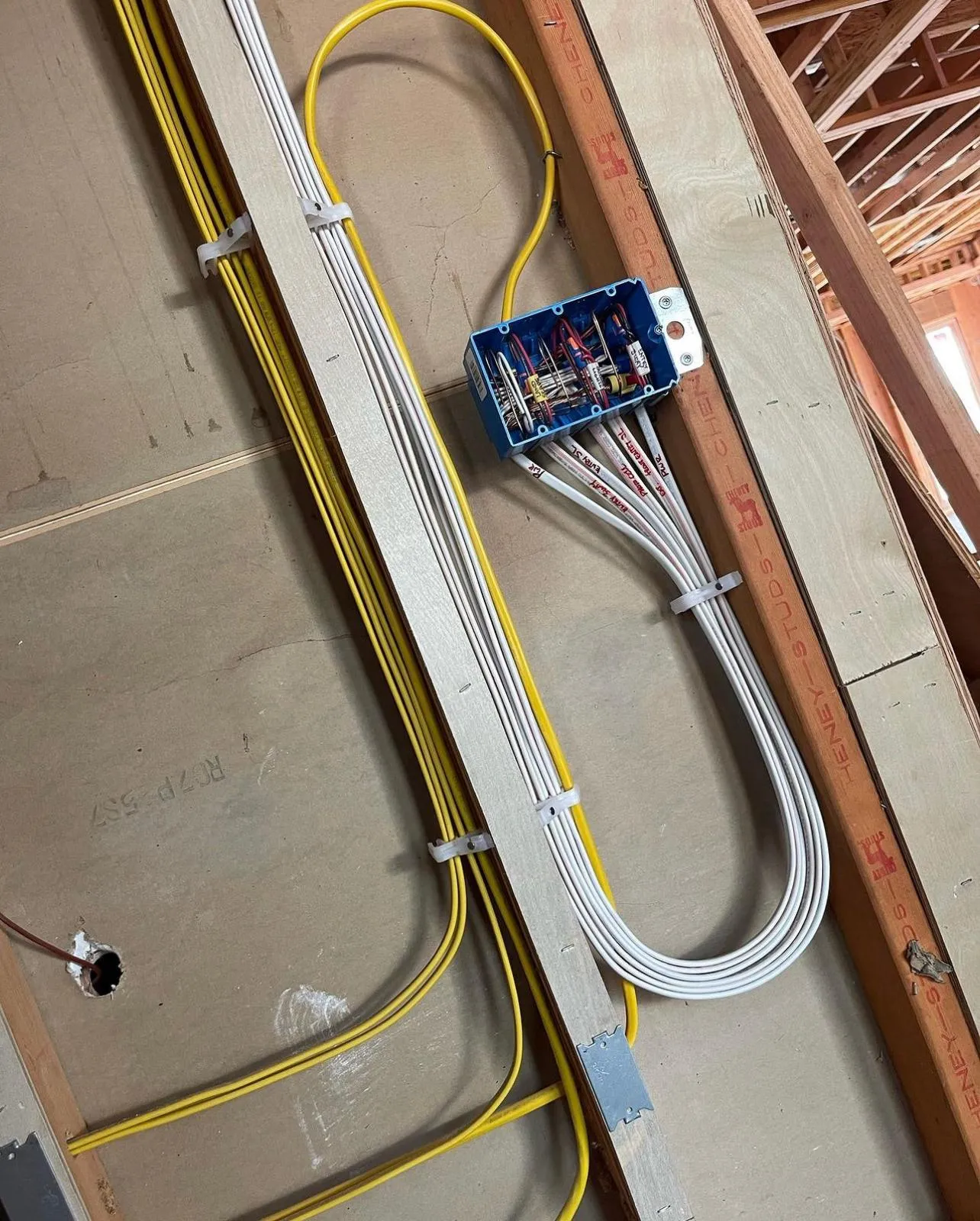 Junction box with blue + yellow wiring in commercial wall. Martinez Electric Corp