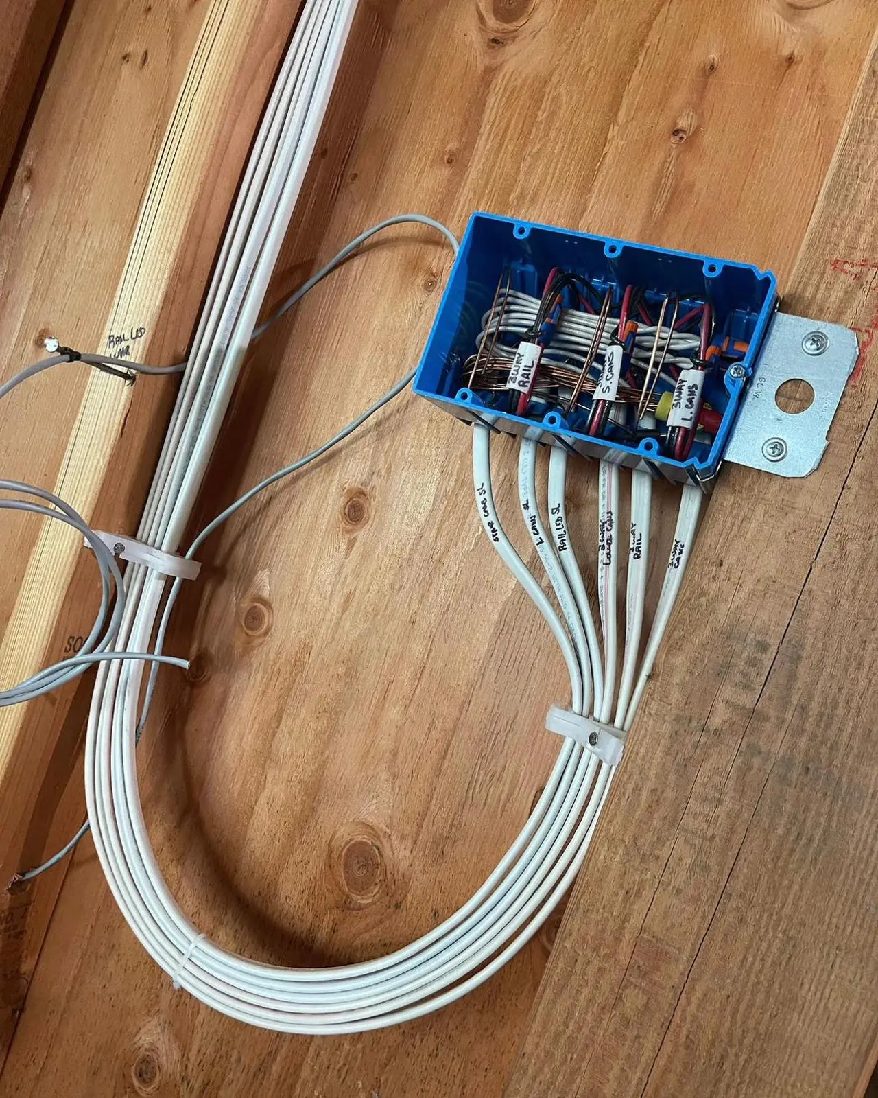 Junction box with labeled wires during commercial structured-wiring install. Martinez Electric Corp